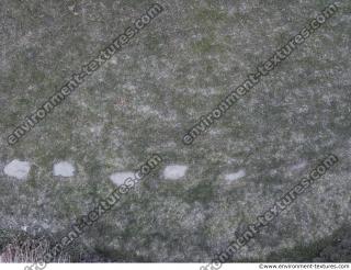 Photo Textures of Ground Grass